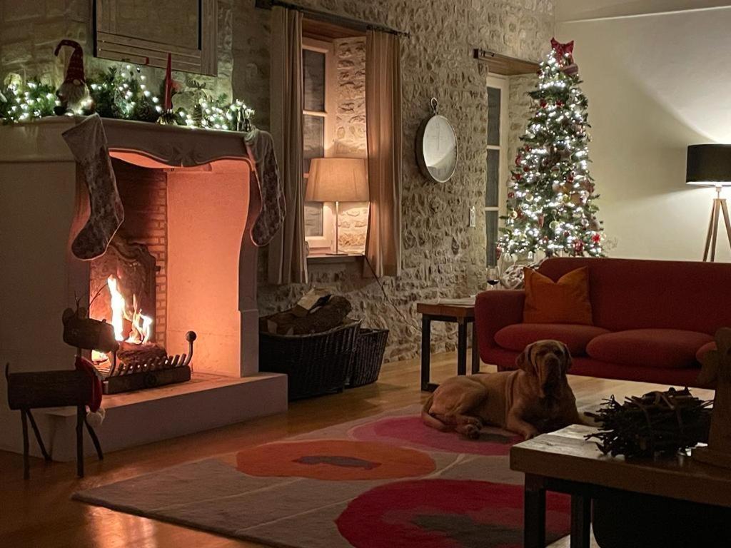 Uniquely Private Holiday Villa In The Charente Puyreaux Eksteriør bilde
