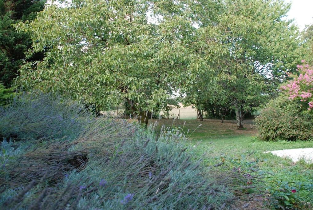 Uniquely Private Holiday Villa In The Charente Puyreaux Eksteriør bilde